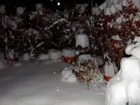 DSCF8638.2.webp