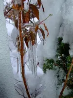 DSCF8668.2.webp
