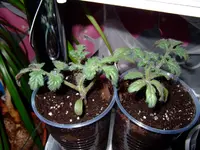 DSCF8691.2.webp