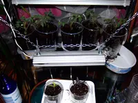 DSCF8681.2.webp
