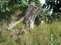 Sandkuhle 148.webp