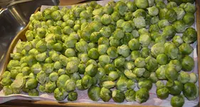 Rosenkohl.webp