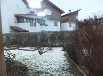 Vögel im Garten, 3.1.2015 036 (2).webp
