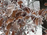 K1024_DSCF5796.webp
