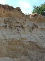 Sand 5.webp