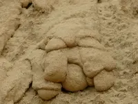 Sand 6.webp
