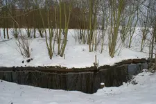 DSC02658.webp