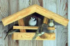 DSCN4630.webp