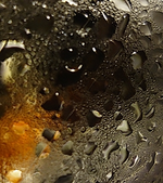 black (19).webp