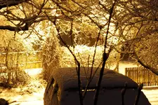 Schnee.webp