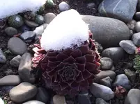2011_1020Herbst0025.webp