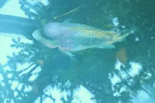 DSCF9477 (2).webp