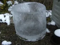 BILD3685.webp