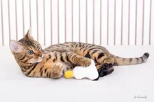 blog_SAM_4519.webp