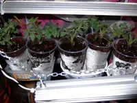 DSCF8711.2.webp