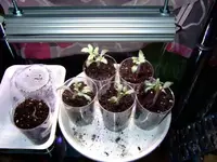 DSCF8603.2.webp