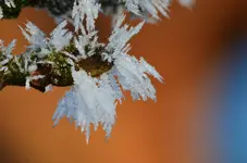 123.webp
