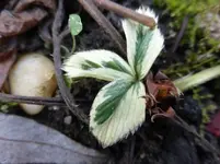 P1250900.webp