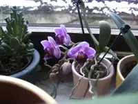 BILD3702.webp