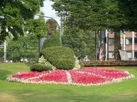 100_4949.webp
