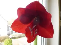 P1160874.webp