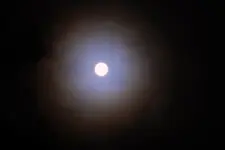 DSCN5066.webp