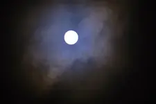 DSCN5093.webp