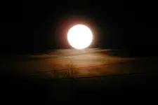 DSCN5105.webp
