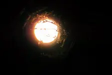DSCN5188x.webp