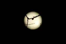 DSCN5207.webp