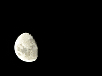 Copy of IMG_3619v.webp