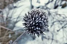 DSCF9686 (2).webp