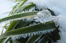 DSCF9704.webp