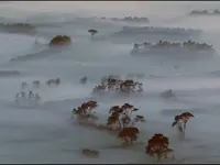 Krasse Gegensätze N-Zeeland.webp