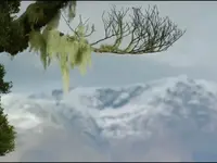 Krasse Gegensätze N-Zeeland1.webp