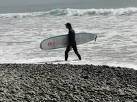 Surferv.webp