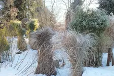 DSCF9710.webp