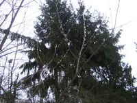 BILD3694.webp