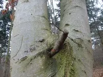 P1260206.webp