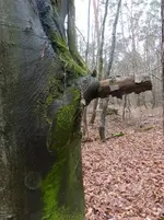 P1260250.webp