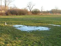 P1260020.webp