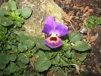 Bild 7149.webp