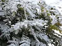 DSCN0121.webp