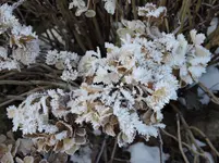 DSCN0123.webp