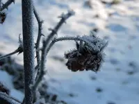 DSCN0117.webp