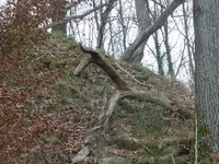 P1260365.webp