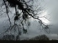 P1260361.webp