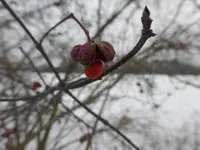 P1250653.webp