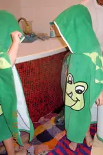 0001_Grüne Fröschex.webp