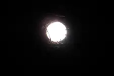 DSCN5176.webp